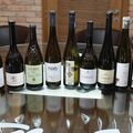 Furmint Február 2025 - Sajtókóstoló a Kálvária Pincében