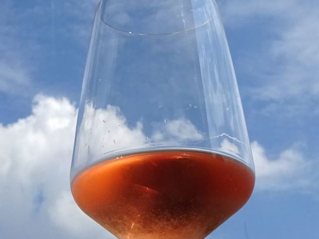 2019-es magyar rosé körkép 1.