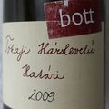 A kincsesládából - Bott Pince Határi Hárslevelű 2009