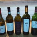Fine wines - Nemzetközi vörösborok a Borsuliban