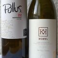 Sauvignon blanc páros Stajerska Slovenija-ból - Kobal Wine Estate és Ptujska Klet Pullus Sauvignon Blanc 2022