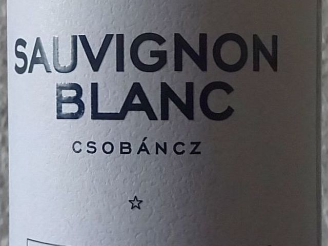 Tegnap ittam - Villa Tolnay Sauvignon Blanc 2019