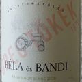 Átalakulás - Béla és Bandi Öregtőkék Sauvignon Blanc 2020