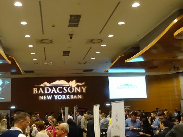 Badacsony New Yorkban 2024