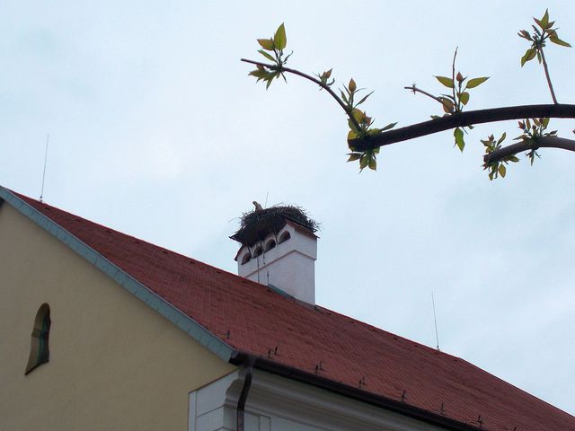 Hegyaljai hétvégék - Tarcali Tavasz, Kikelet, Basilicus, Erzsébet Pince