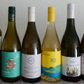 Balatoni sauvignon blanc-ok 2024-ből