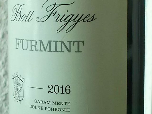Tegnap ittam - Bott Frigyes Furmint 2016