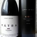 Mátrai kékfrankos páros - Hoop Wines Gereg Selection 2020 és Németi Zoltán Mátra 2021