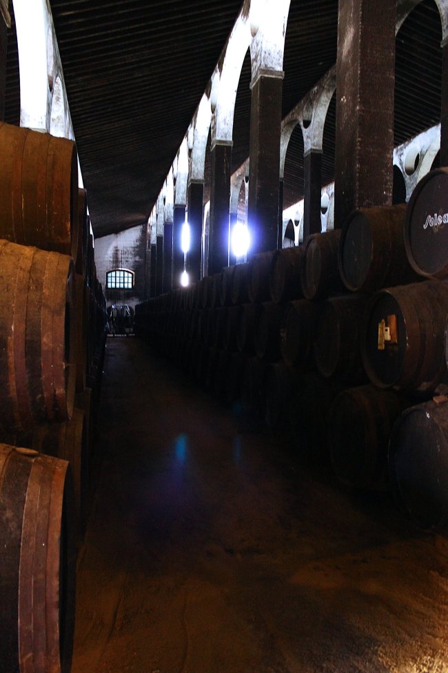 barbadillo_bodega.jpg