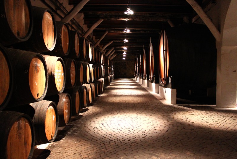 sandeman_cellar.jpg