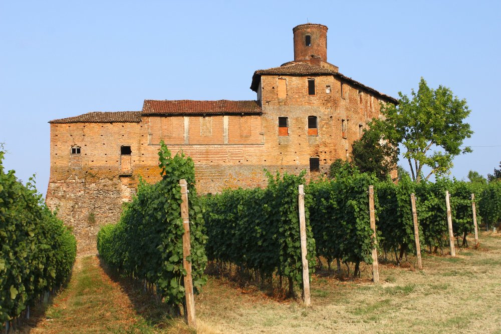 barolo1.jpg