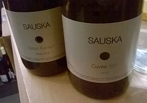 bttokaj07.jpg