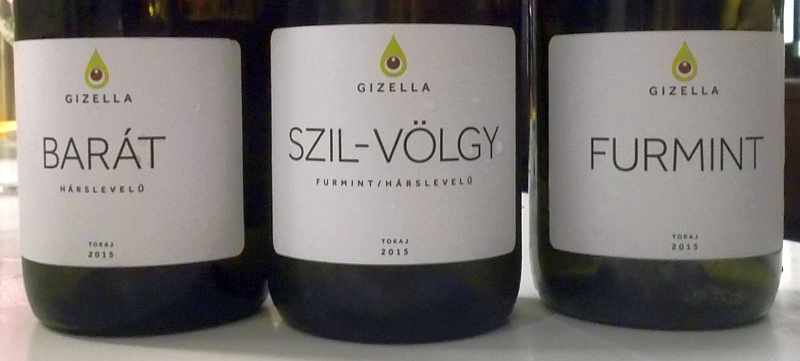 bttokaj2015_gizella.jpg