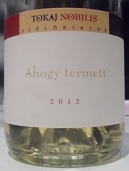 bttokaj2015_nobilis2.jpg