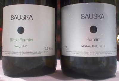 bttokaj2015_sauska.jpg