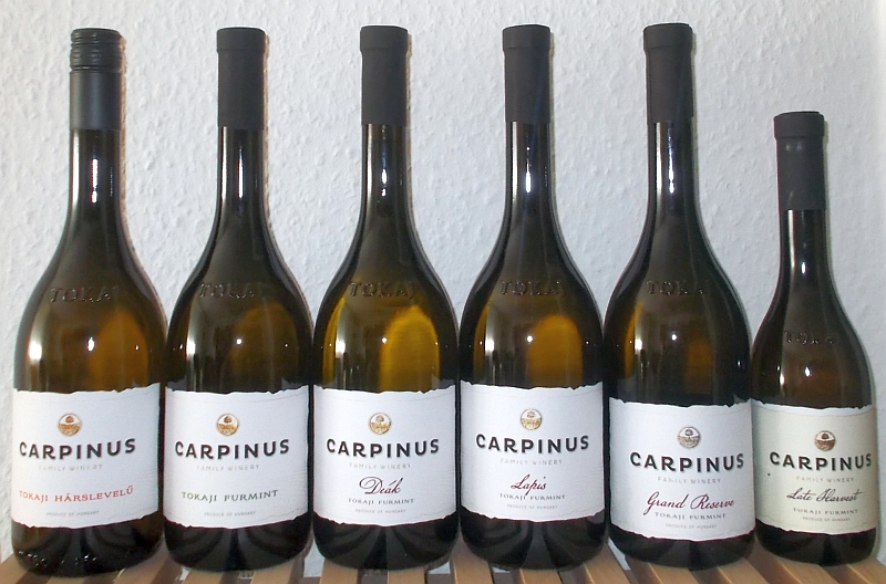 carpinus2015_2.jpg