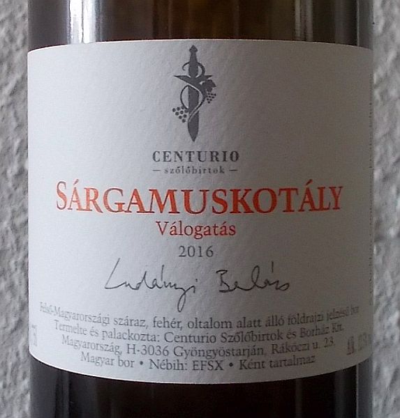 centurio_sargamuskotaly2016.jpg