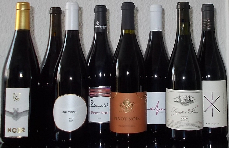 pinotnoirmagyar2013.jpg