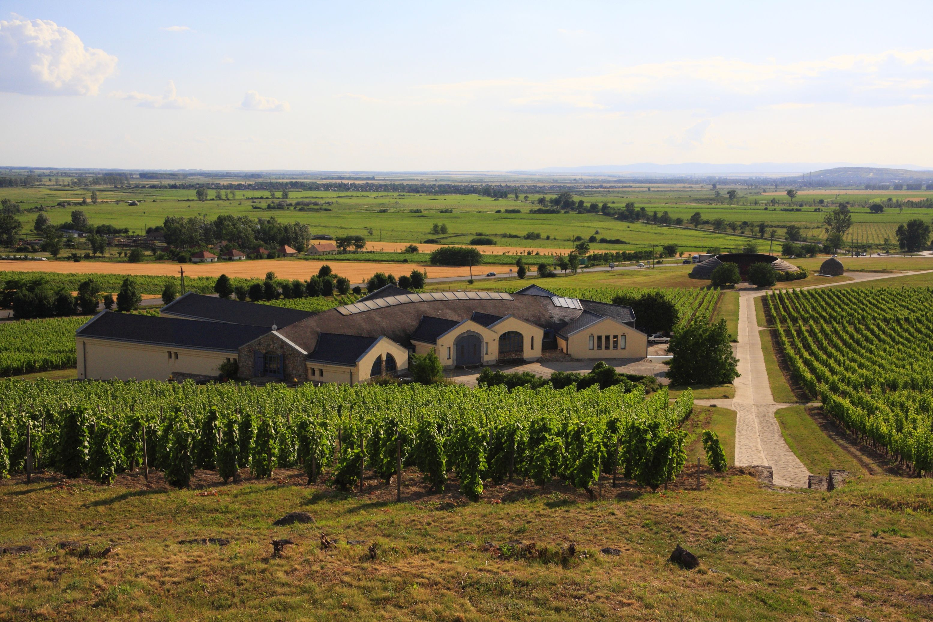 disznoko_press_300_dpi_3888x2592-the_winery_1.jpg