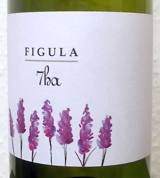 figula7ha2015.jpg