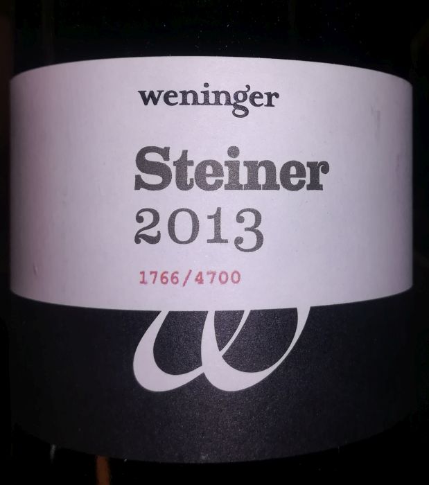 weningersteiner2013.jpg