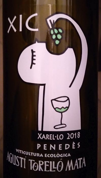 augustitorellomataxicxarello2018.jpg