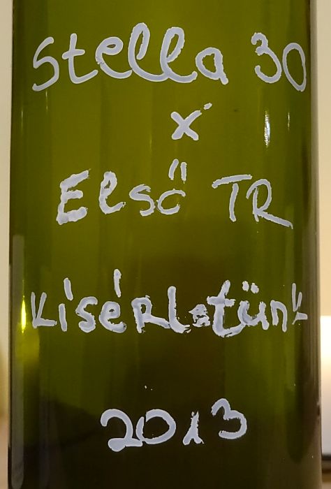 trmuvekfurmint2013.jpg