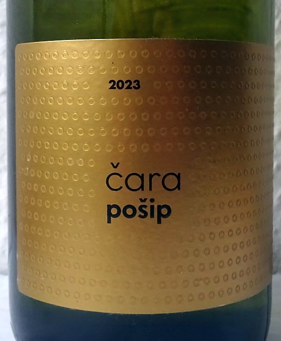 caraposip2023.jpg