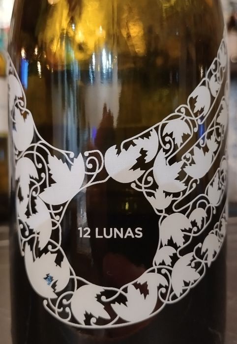 elgrilloylaluna12lunastinto2020.jpg