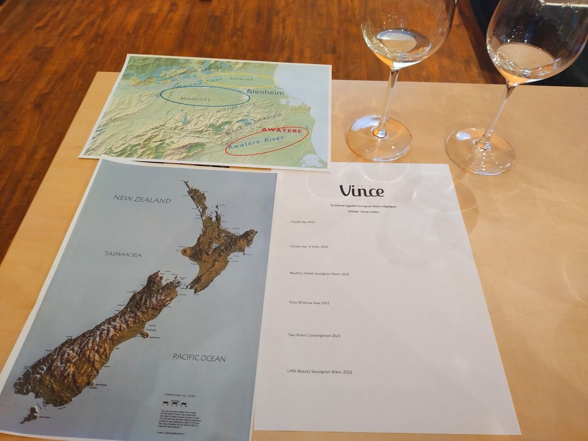 vincemarlboroughsauvignonblanc2.jpg