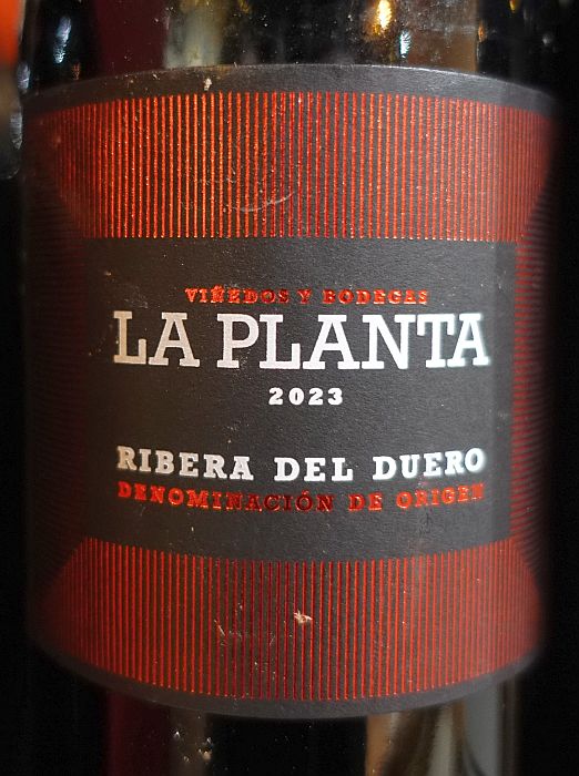 bodegasarzuagalaplanta2023.jpg