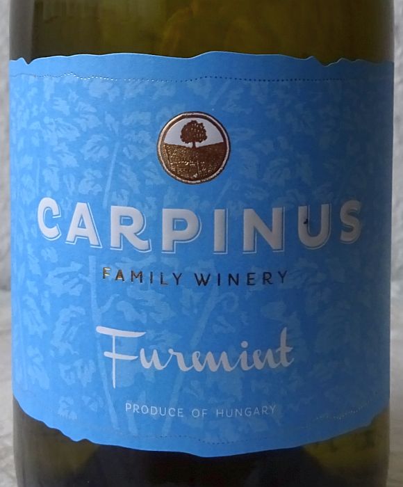 carpinusfurmint2023.jpg