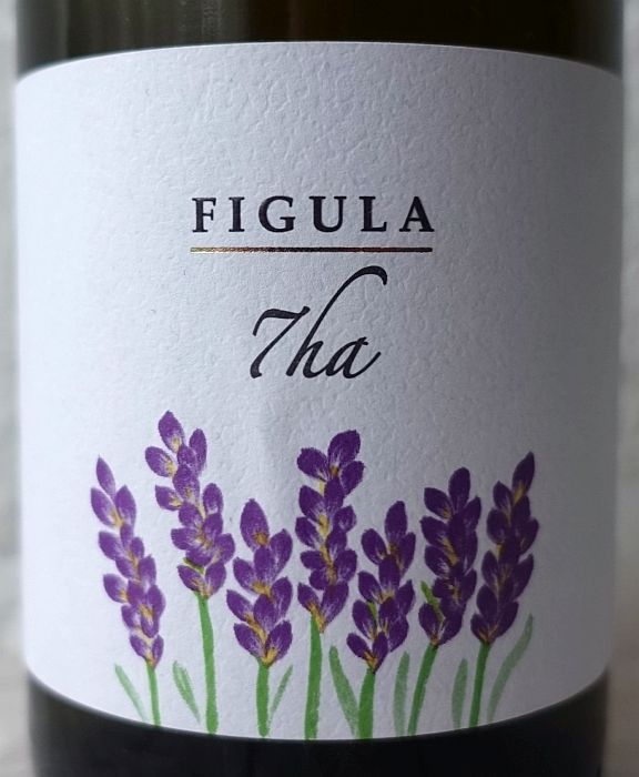 figula7ha2023.jpg