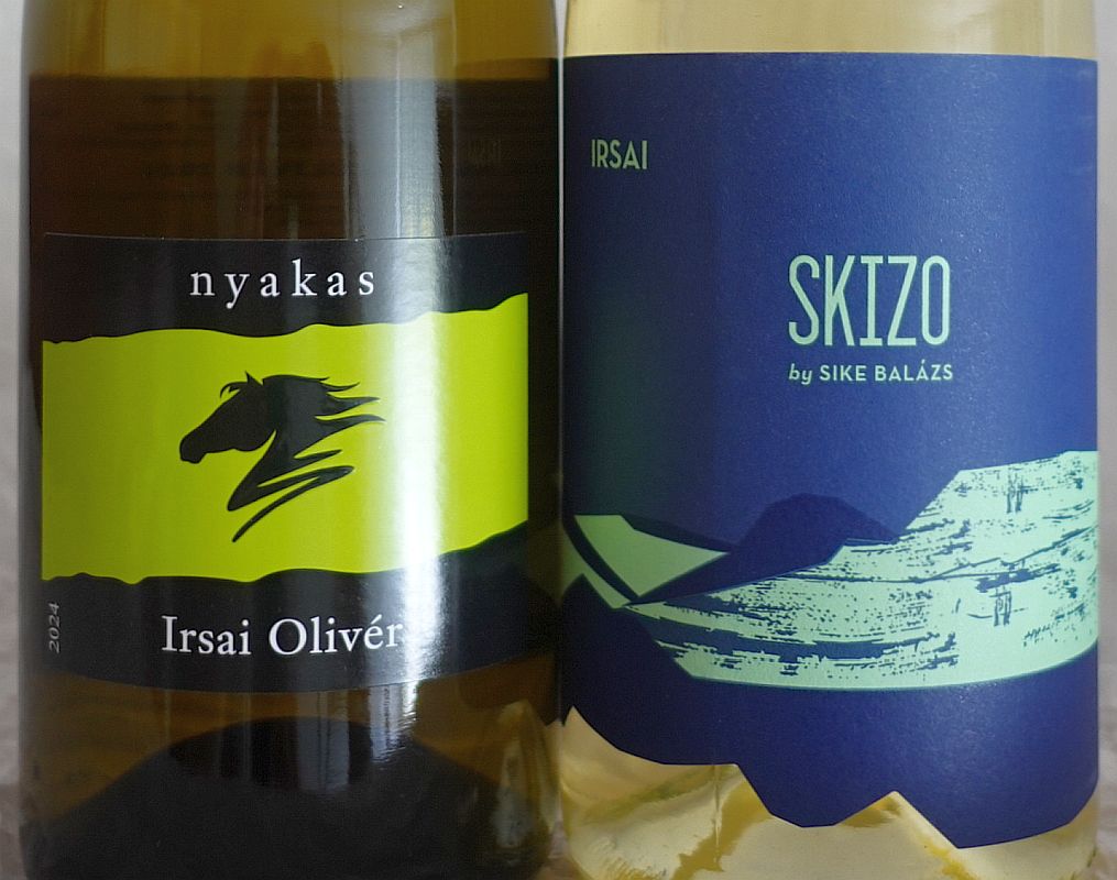 nyakasskizoirsaioliver2024.jpg