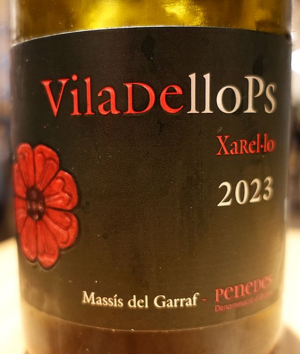 villadelopsxarello2023.jpg