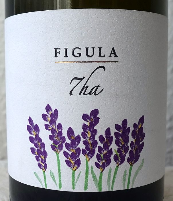 figula7ha2024.jpg