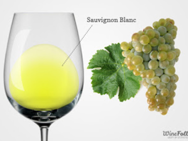 Sauvignon blanc