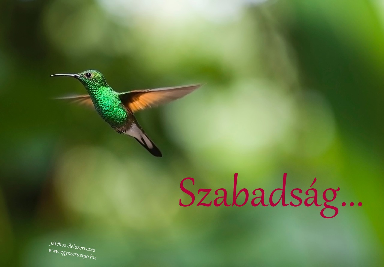 szabadsag.jpg