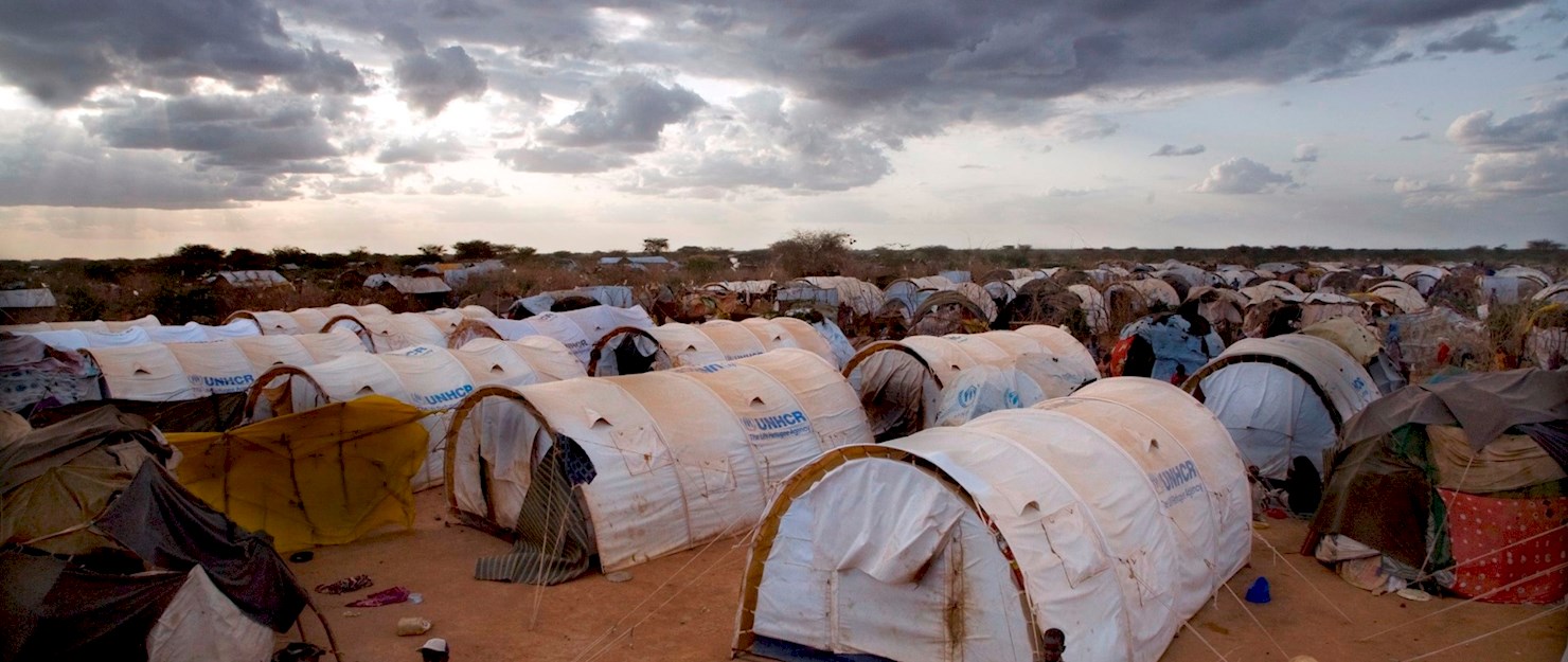 dadaab1.jpg