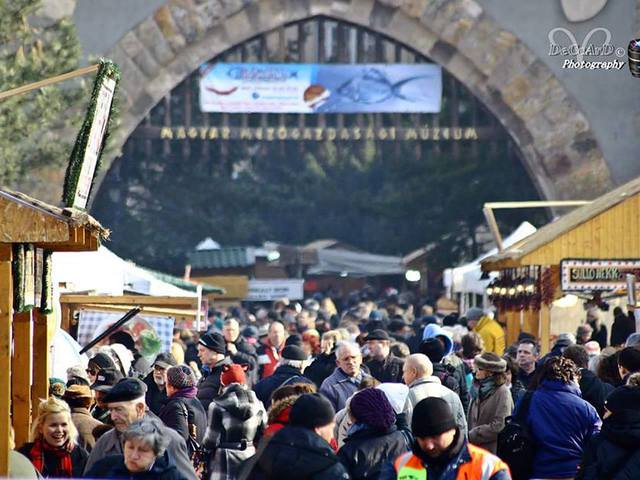 A Budapesti Halfesztivál a Millenáris Parkba költözik