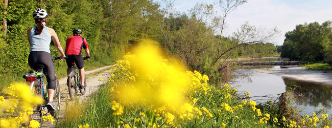 traisentalradweg--weinfranz_jpg_3417040.jpg