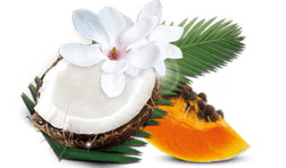 airwick_fragrances_19_tropical.png