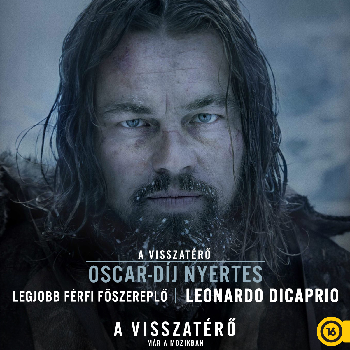 avisszatero_oscar_dicaprio.jpg