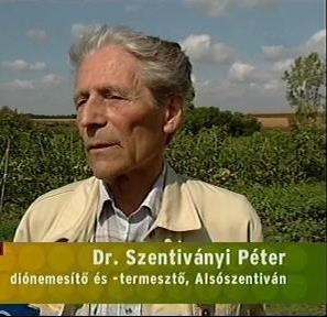 dr_szentivanyi_peter.jpg