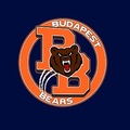 Budapest Bears American Football Team/Közlemény