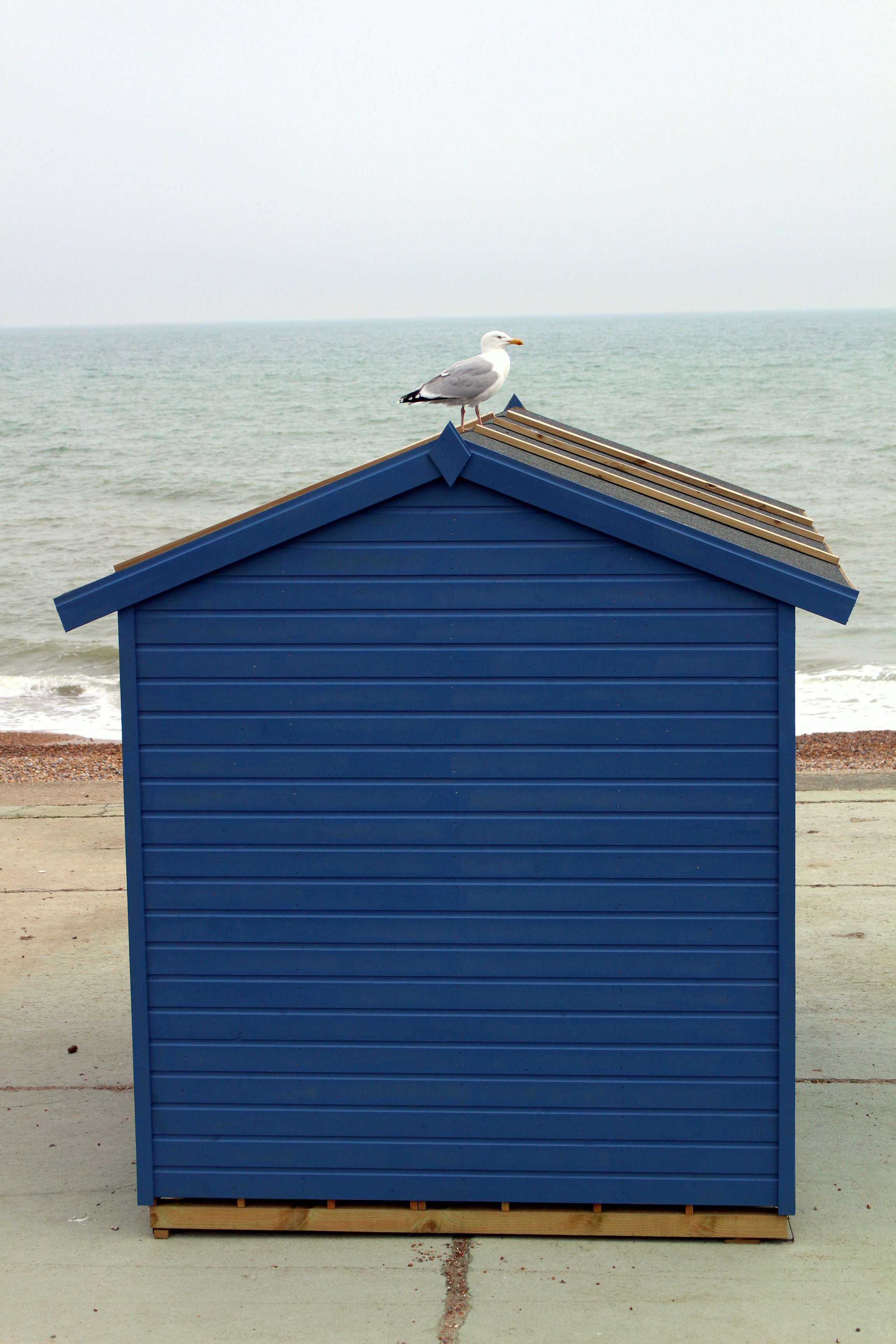 beach_hut.jpg