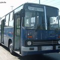 Tömegnyomor délben a 244-esen