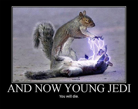 sith squirrel.jpg