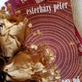 Recenzió: Esterházy Péter - Egy nő