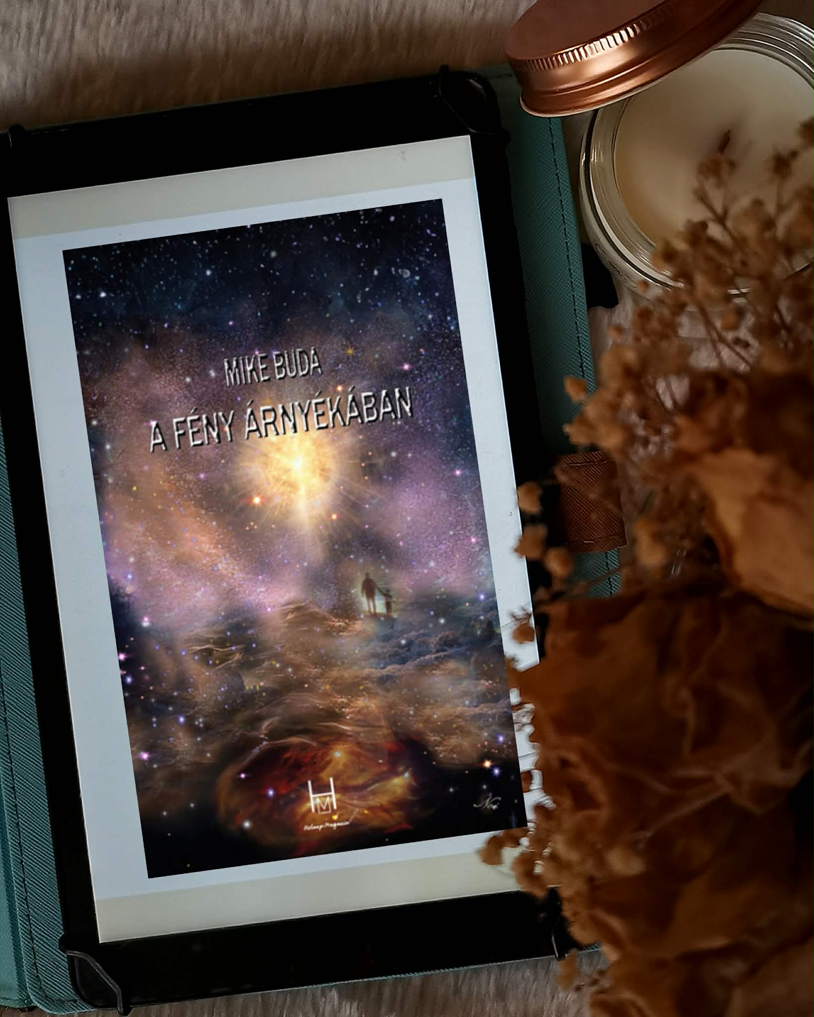 mike_buda_a_feny_arnyekaban.jpg